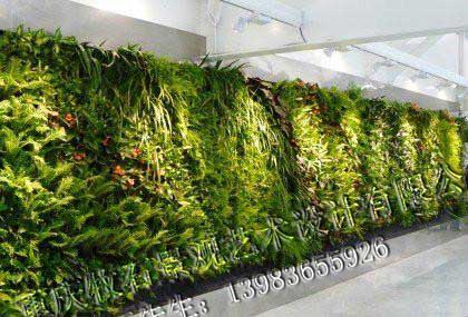 垂直綠化圖